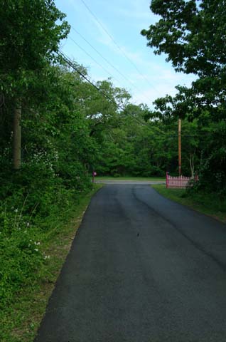DSCF1554